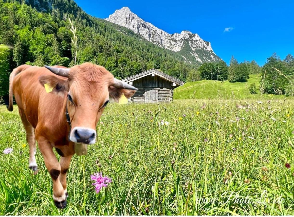 Sparfuchs - Fewo Resi Mittenwald Exterior foto